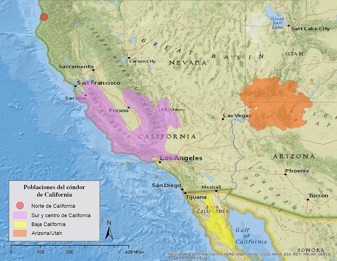 El mapa muestra las regiones de distribución actual del cóndor de California: el norte de Arizona, el sur de Utah y California, en Estados Unidos y Baja California, en México.