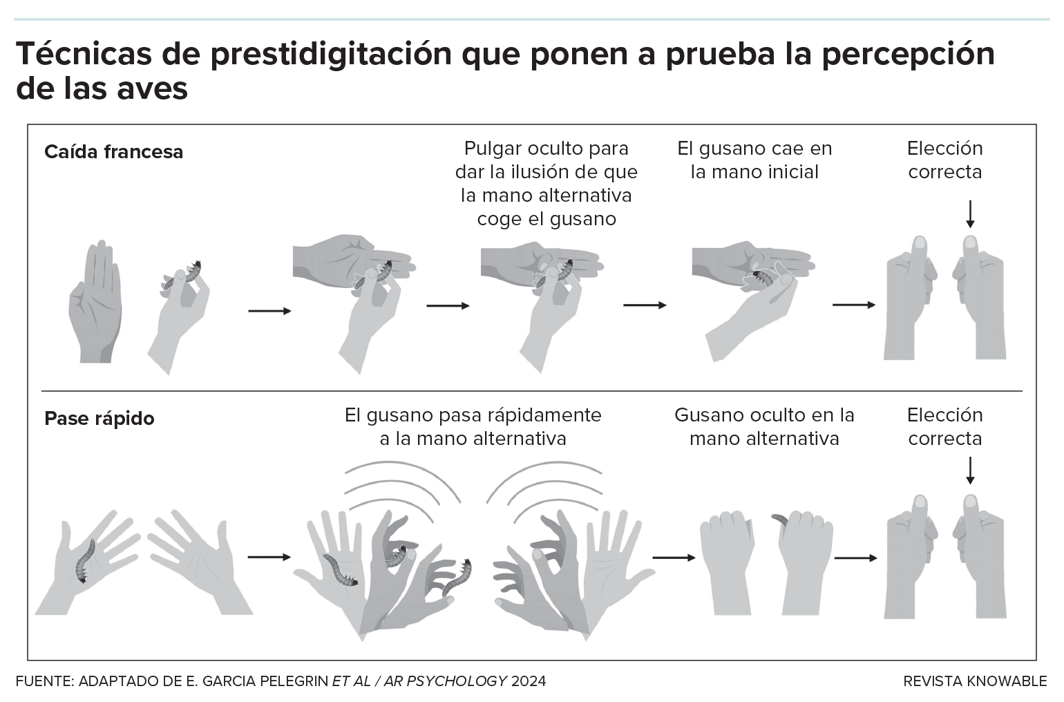 El gráfico muestra una serie de movimientos de la mano para dos trucos de prestidigitación, el pase rápido y la caída francesa.