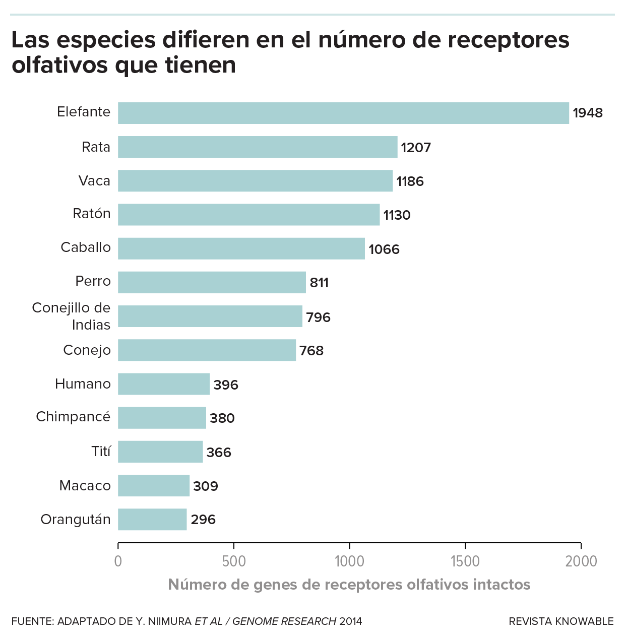 Gráfico de barras del número de receptores olfativos en varios mamíferos