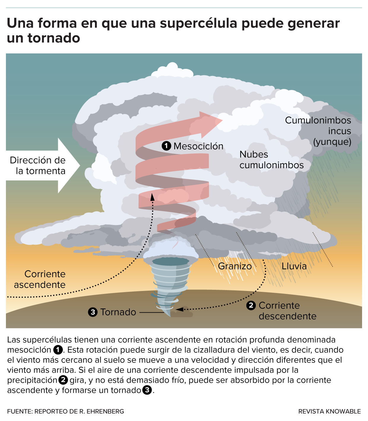 El gráfico muestra las corrientes ascendentes y descendentes que contribuyen a la formación de tornados.