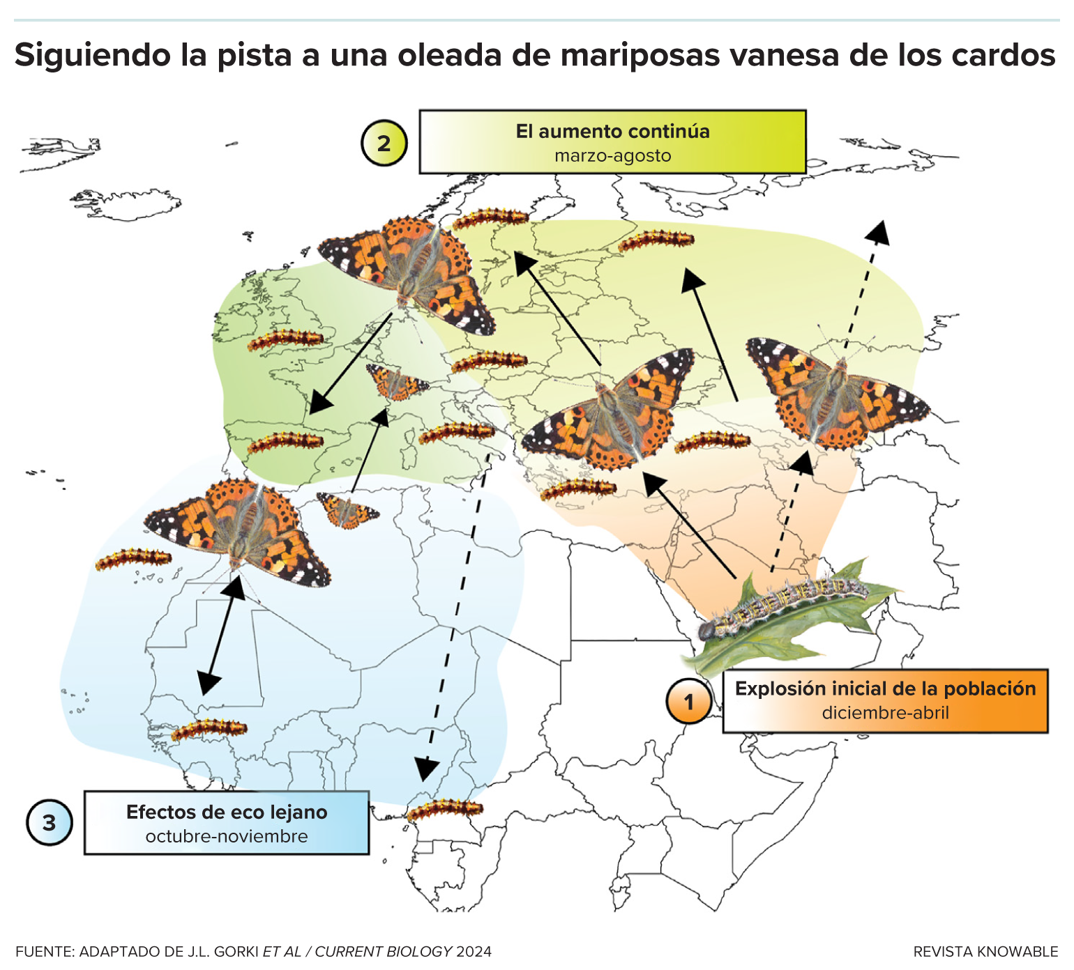 El gráfico muestra los movimientos estacionales de las mariposas en Europa.