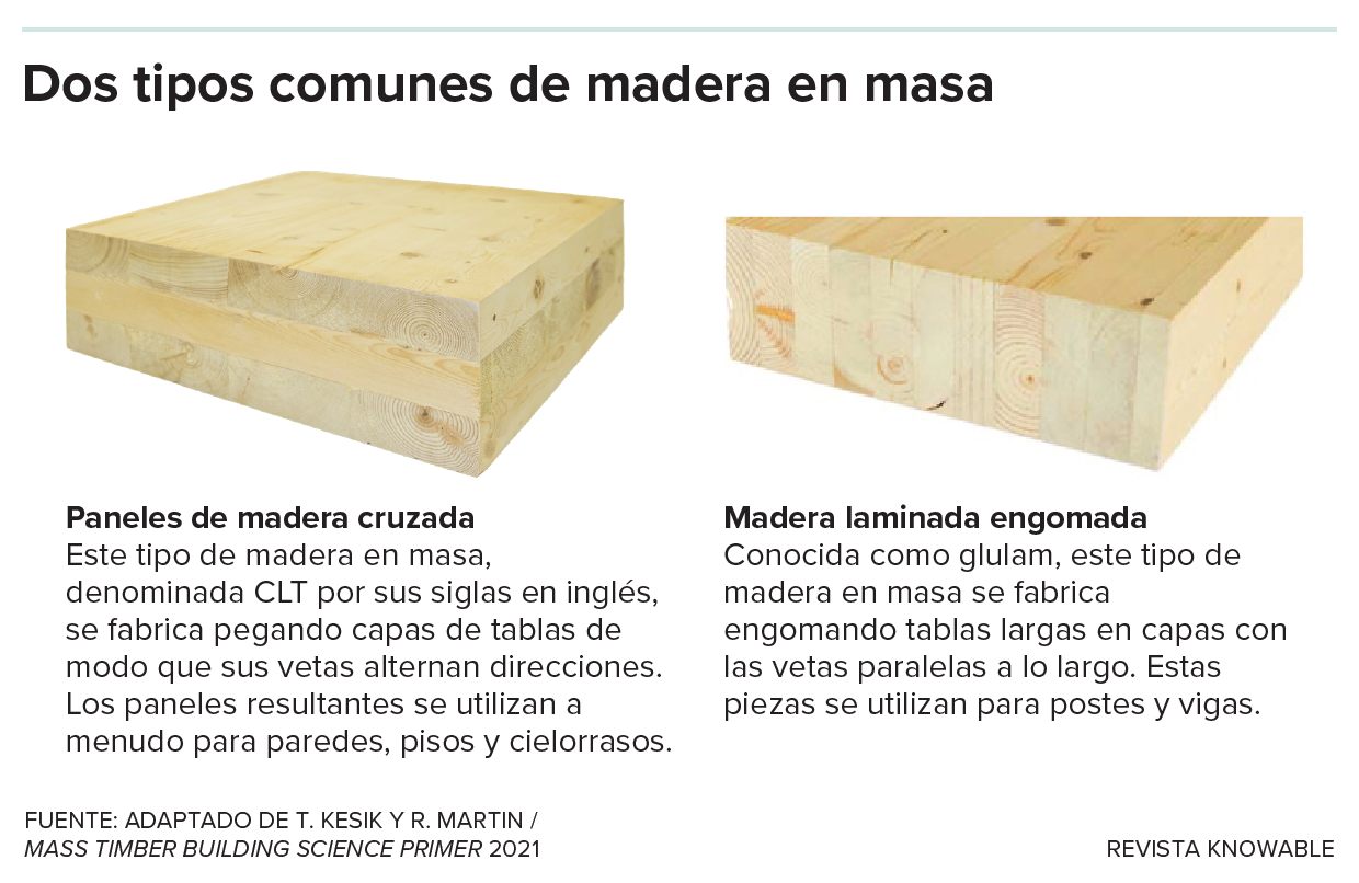 Dos bloques de madera en masa, uno con tablas longitudinales llamado madera laminada engomada y el otro transversal llamado madera cruzada.