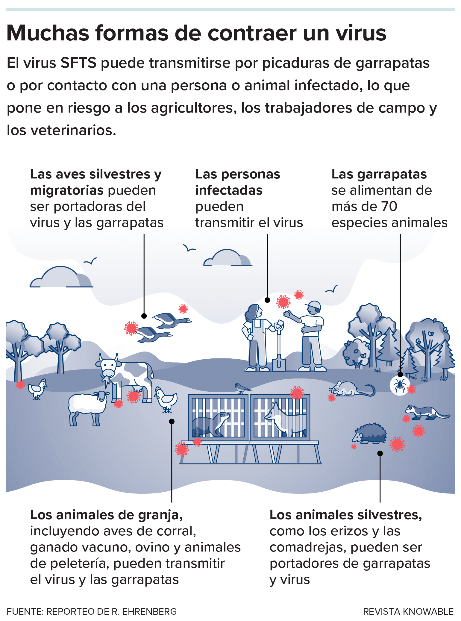 Transmisión del SFTS El gráfico muestra personas, animales y animales salvajes en una granja; entre ellos flotan partículas virales.