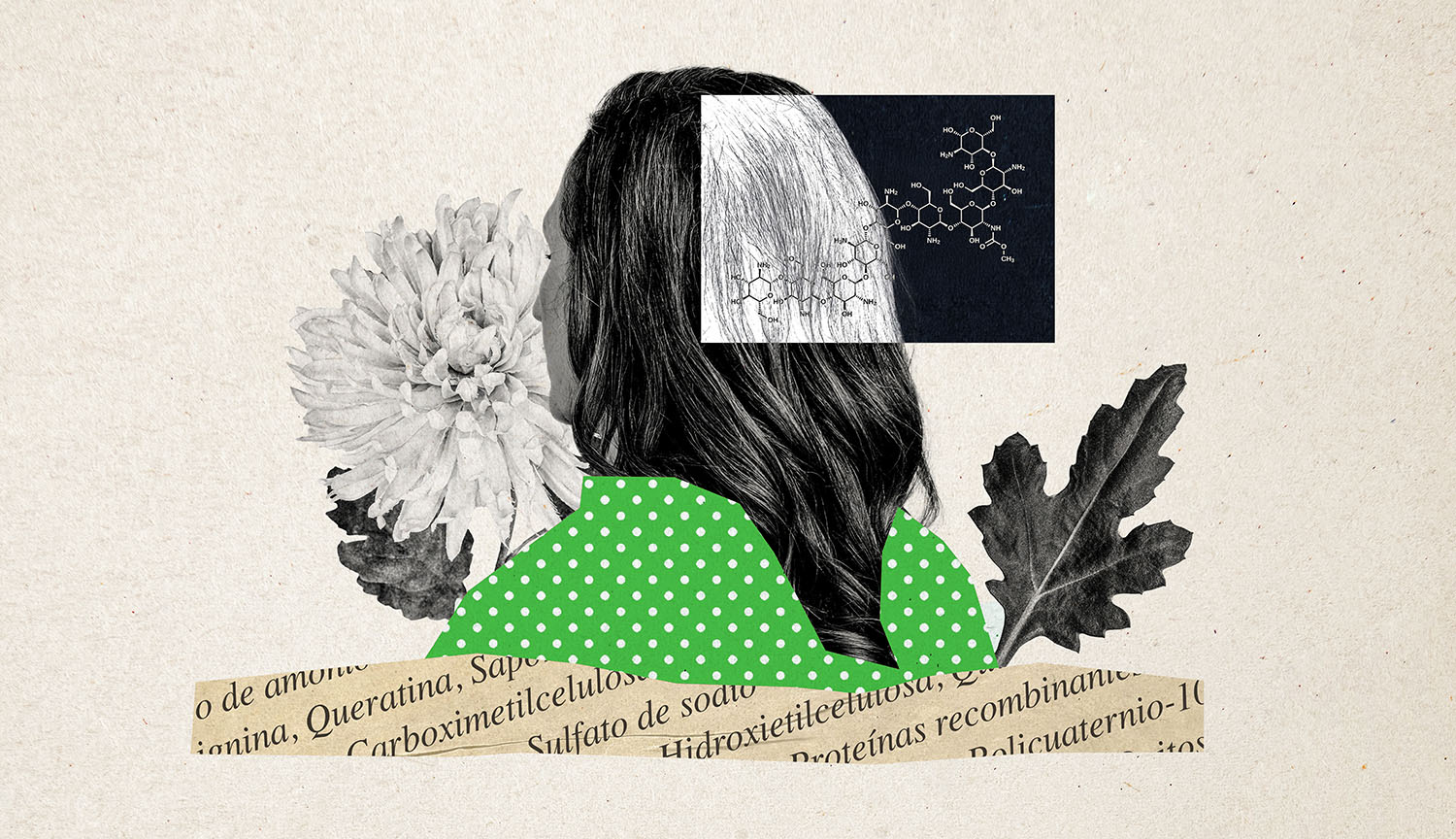 Una cabellera, moléculas para cuidado del cabello, una flor y una hoja.