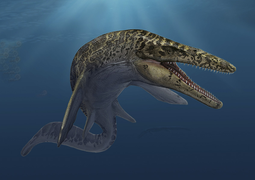 ¿Las hermanas nadadoras de las serpientes? Representación artística de un reptil acuático con dientes.