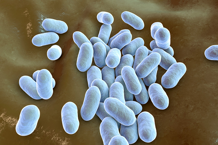 Ilustración en 3-D de una bacteria con forma de bastón, coloreada en azul.