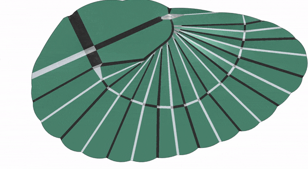 Desplegar y plegar GIF de una lámina en forma de ala con pliegues radiales que se pliega fácilmente de desplegada a plegada.