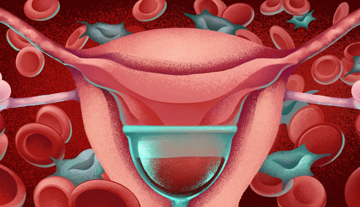 Representación artística de útero y células madre en sangre menstrual.
