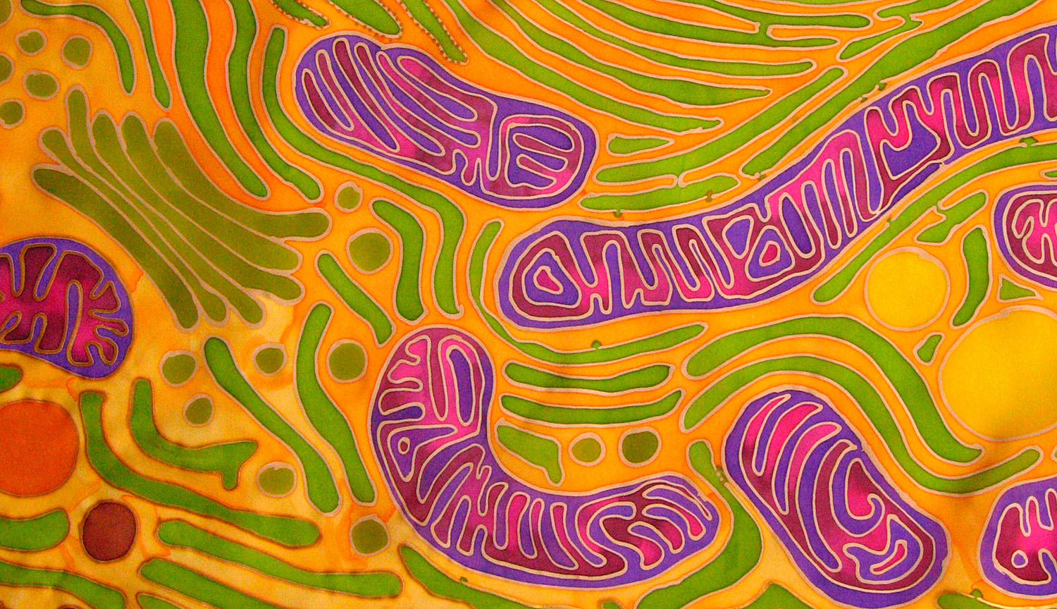 Ilustración de las mitocondrias y otros orgánulos celulares.