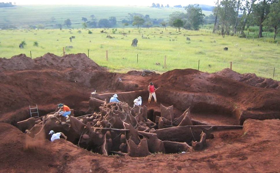 Atta megalopolis Cinco personas trabajan retirando material de una gigantesca estructura subterránea excavada formada por túneles y cámaras.