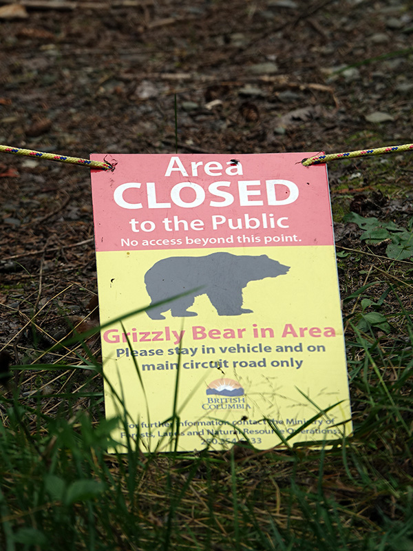 Una señal advirtiendo a las personas que se mantengas alejadas porque hay un oso grizzly en la zona.
