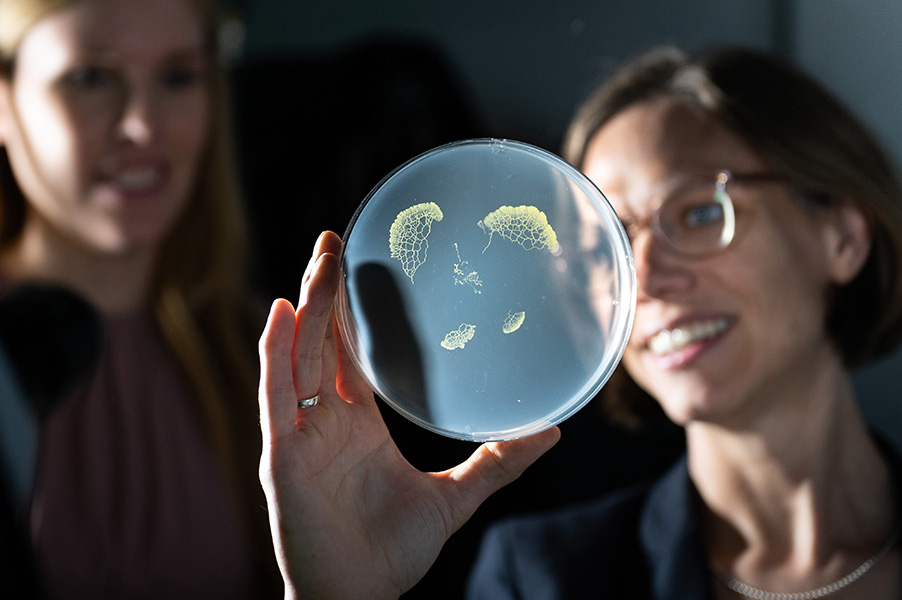 Fotografía de Karen Alim sosteniendo una placa de Petri en la que crece un moho mucilaginoso.