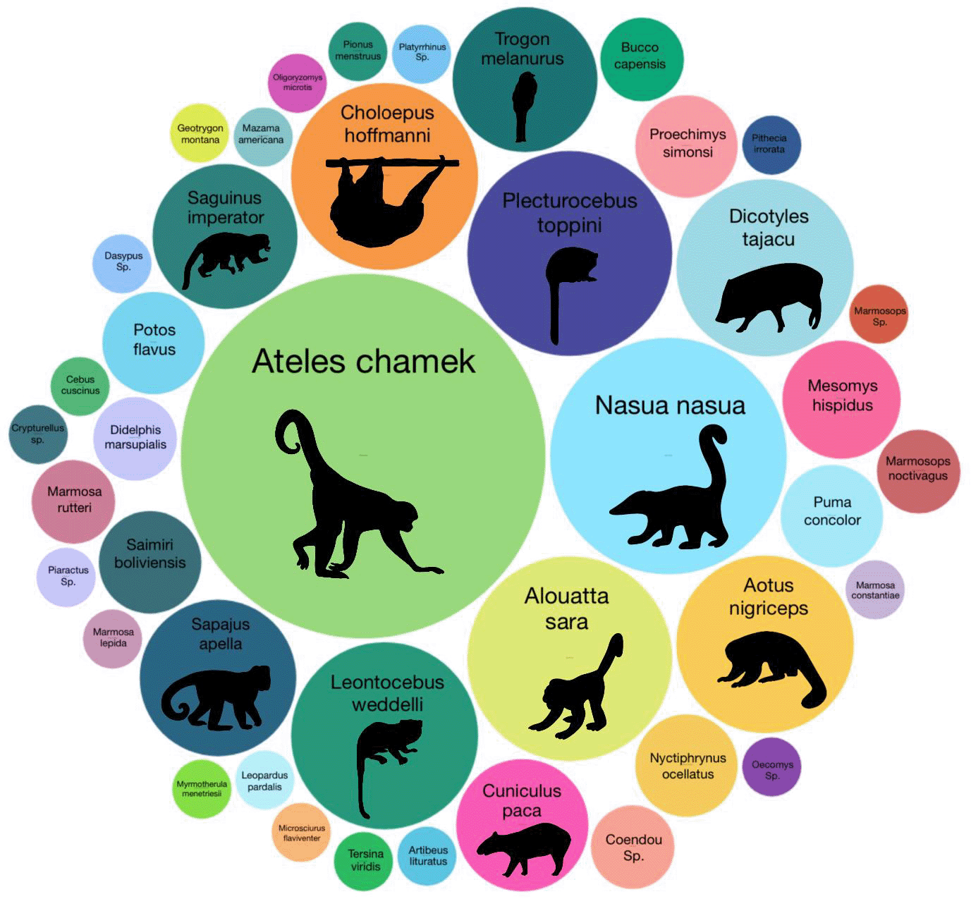 Huéspedes ocultos al descubierto Gráfico de círculos de diferentes tamaños, cada uno de los cuales representa una especie de mamífero detectada mediante la recogida de ADN de escarabajos peloteros.