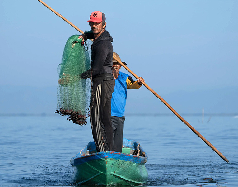 Pesca con atarraya Dos hombres viajan en una panga. El hombre del fondo rema, mientras que el que se encuentra al frente sostiene una red con camarones recién capturados.