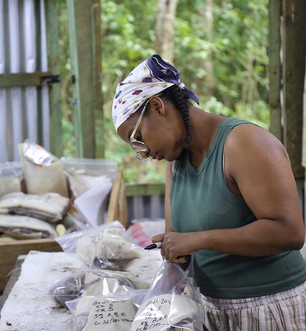 Arqueólogos de África Una mujer usa un marcador para etiquetar bolsas con muestras.