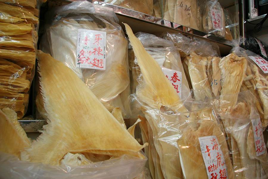 Recortes de aletas de tiburón secas, de color amarillo, se exhiben dentro de bolsas plásticas con etiquetas en chino.