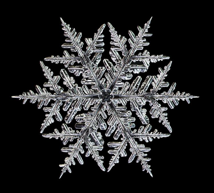 Conceptos básicos sobre los cristales de hielo Copo de nieve