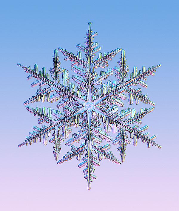 Belleza hexagonal Copo de nieve.