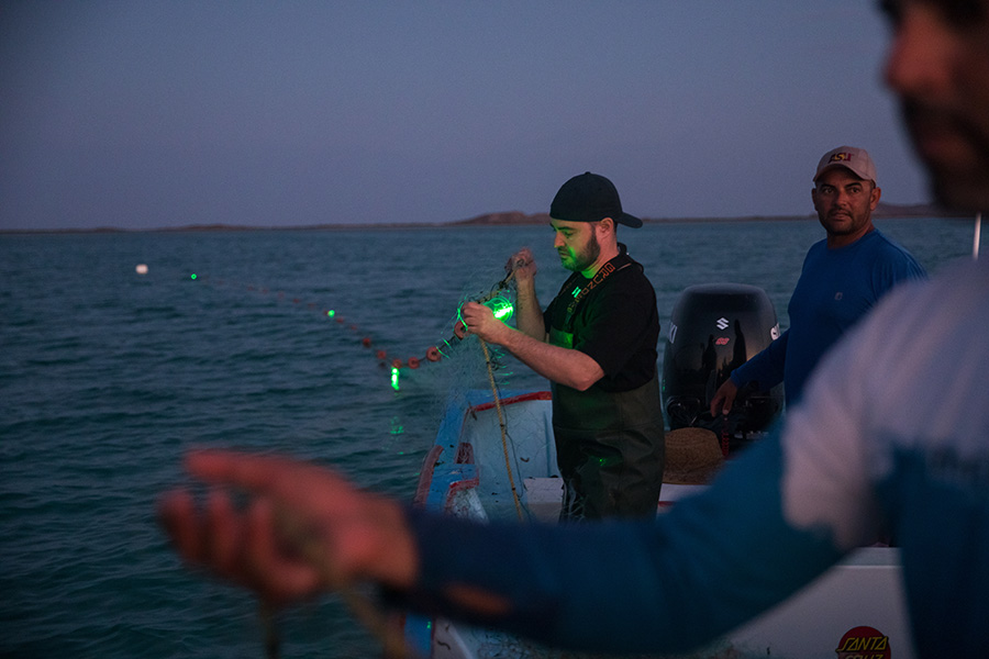 Unas personas se encuentran en un barco en la oscuridad sosteniendo redes con luces colocadas a intervalos regulares.