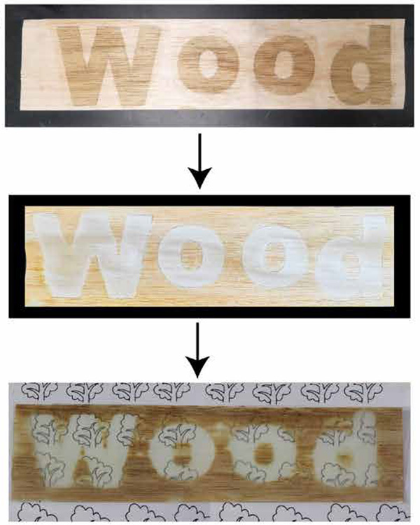 Tres paneles muestran la palabra “wood” (madera en inglés) escrita sobre madera normal, madera blanqueada y madera transparente.